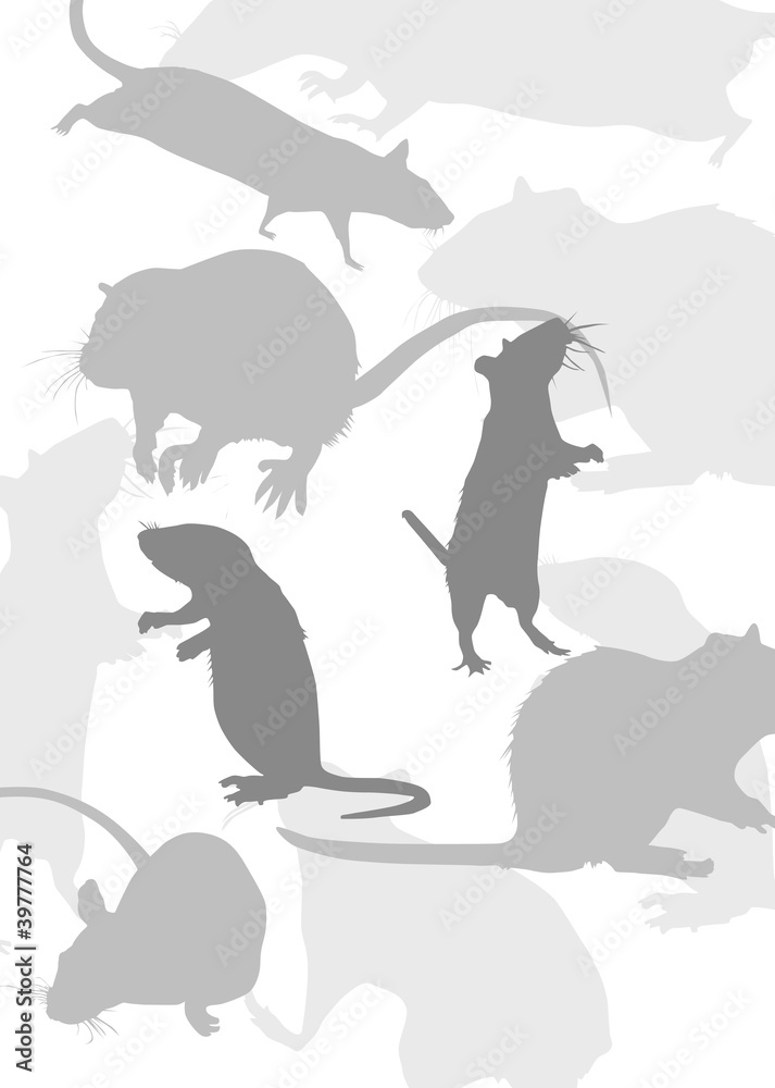 Fototapeta premium gray background with rats