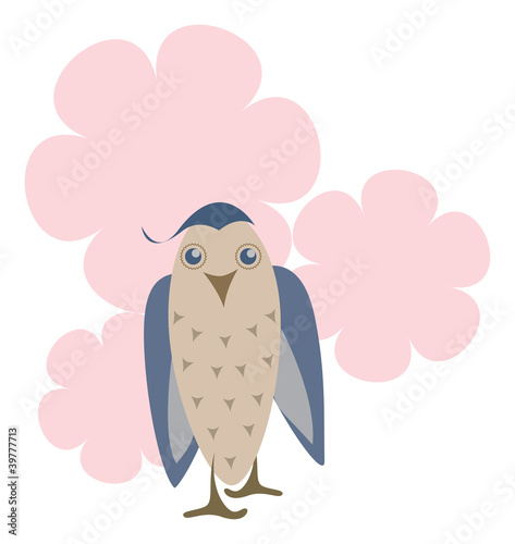 Owl