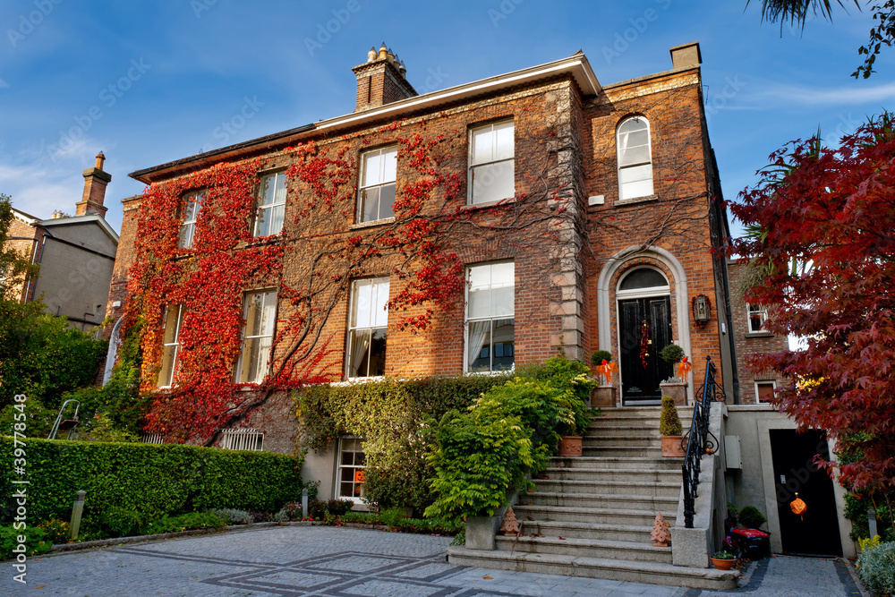 Fototapeta premium Dom w Dublinie, Irlandia