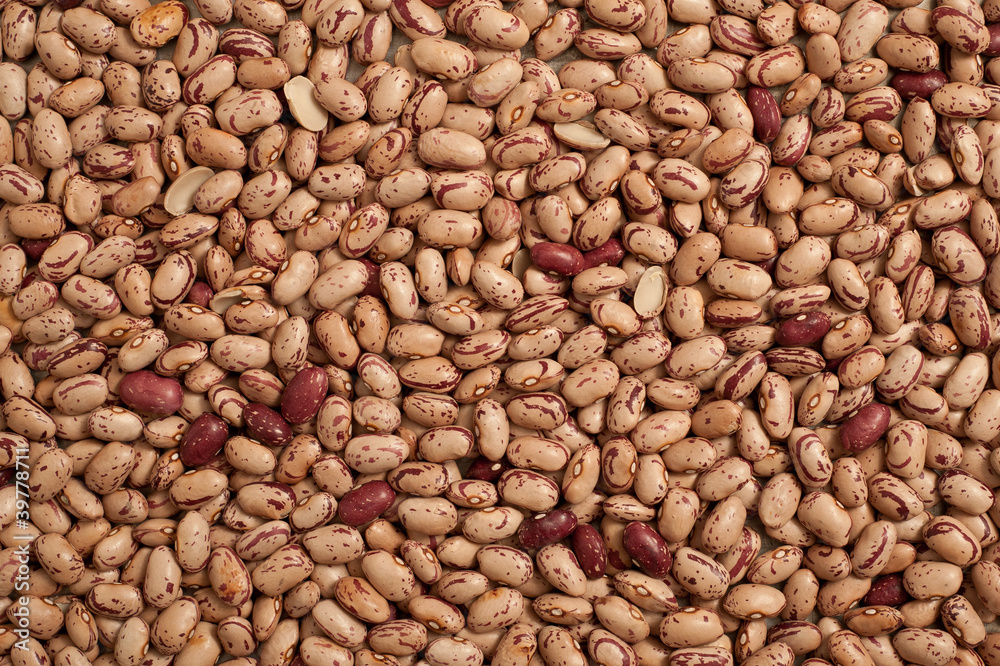 FAGIOLI BORLOTTI FAGIOLI BORLOTTI