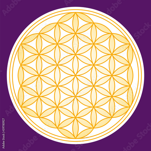 Flower of Life golden gradient. Geometrical figure, composed of overlapping circles. Strong symbol since ancient times, forming a flower-like pattern. Illustration on purple background. Vector.
