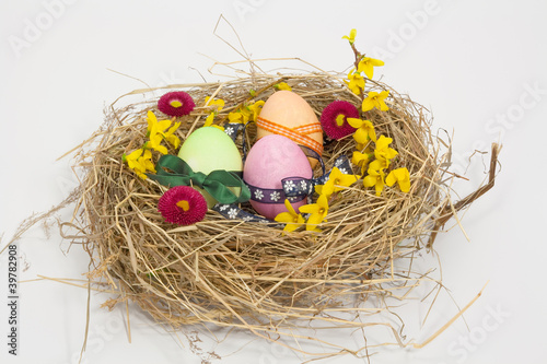 Easter nest photo