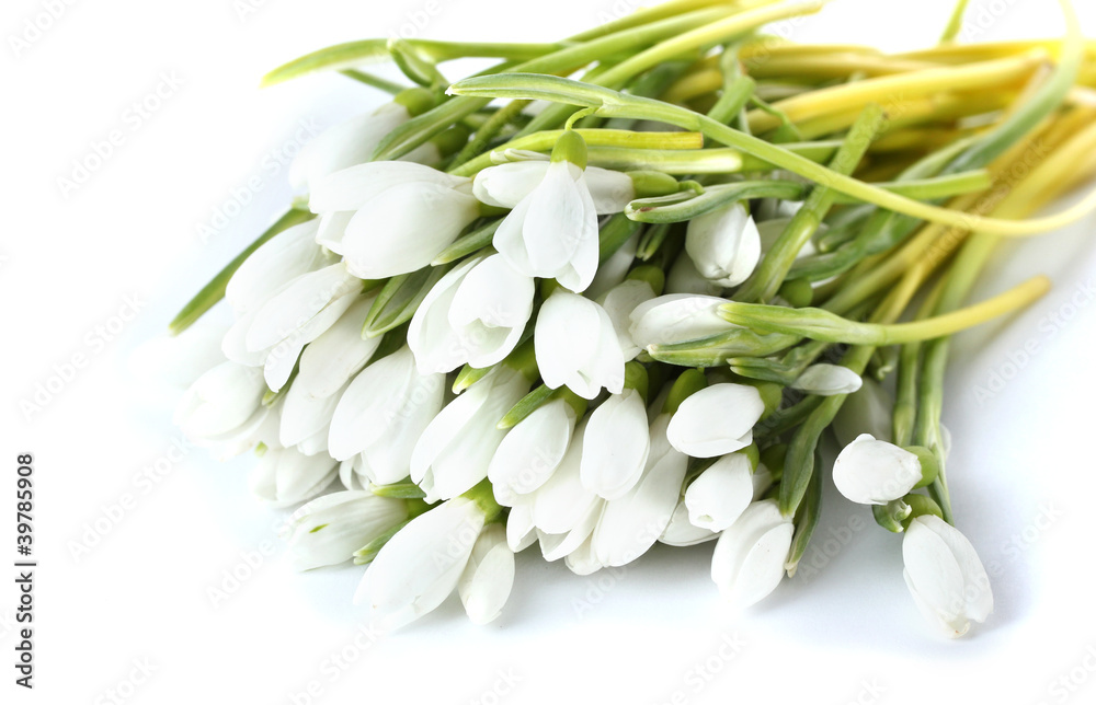beautiful bouquet of snowdrops isolated on white beautiful bouquet of snowdrops isolated on white