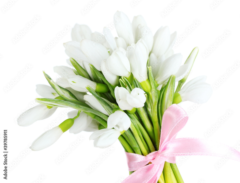 beautiful bouquet of snowdrops isolated on white beautiful bouquet of snowdrops isolated on white