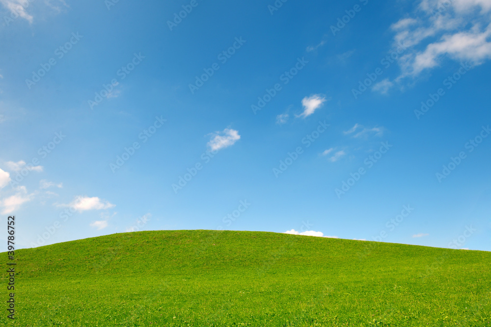 field of gras and blue sky