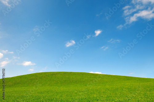 field of gras and blue sky