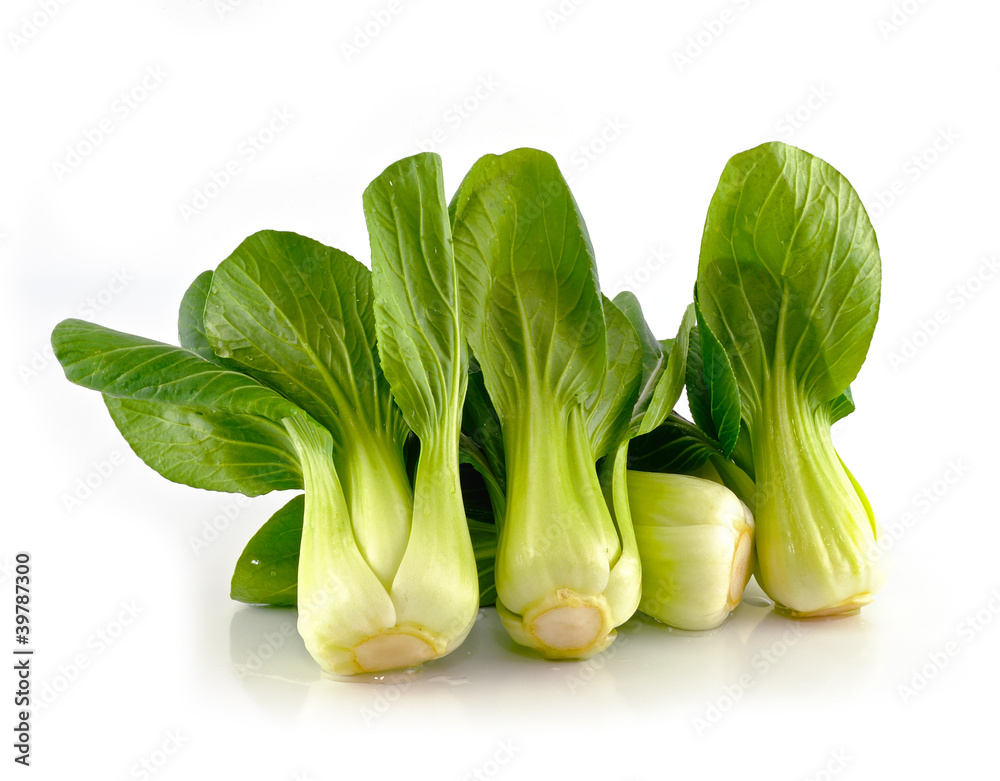 Bok choy (chinese cabbage) isolated on white Bok choy (chinese cabbage) isolated on white