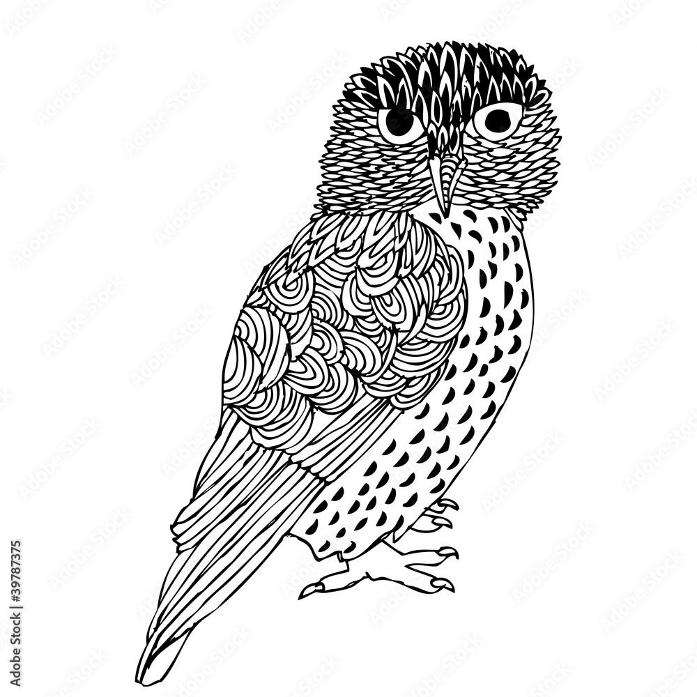 Fototapeta premium Original Hand drawing of Owl- vectorized