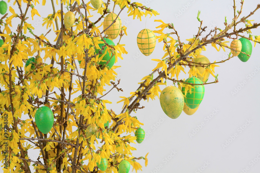 Osterdekoration am Forsythienstrauch Osterdekoration am Forsythienstrauch