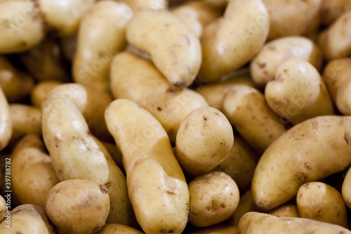 washed potatoes on display