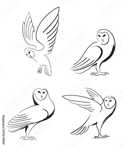 Owls