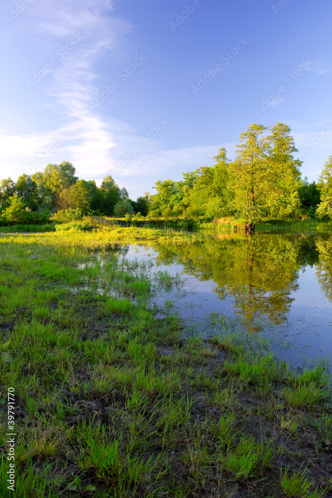 River bank in the forest at the sunset River bank in the forest at the sunset