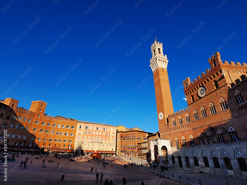 Obraz premium City Hall in Siena, Italy