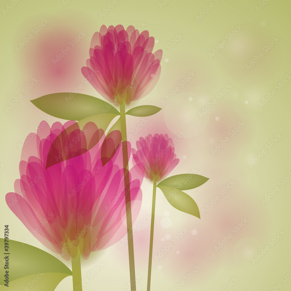 Fototapeta premium Clover / Floral fresh background