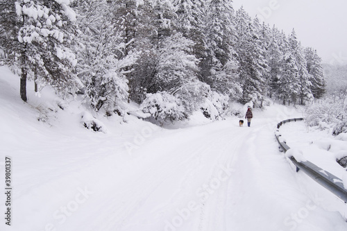 Walk on the snowy road