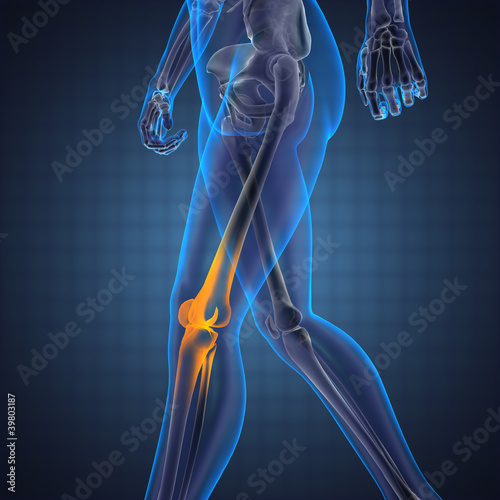 human radiography scan