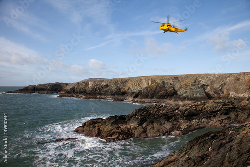 Quadro su tela RAF Seaking