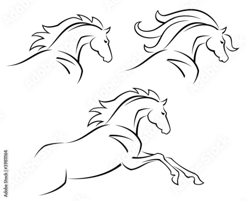 Steed
