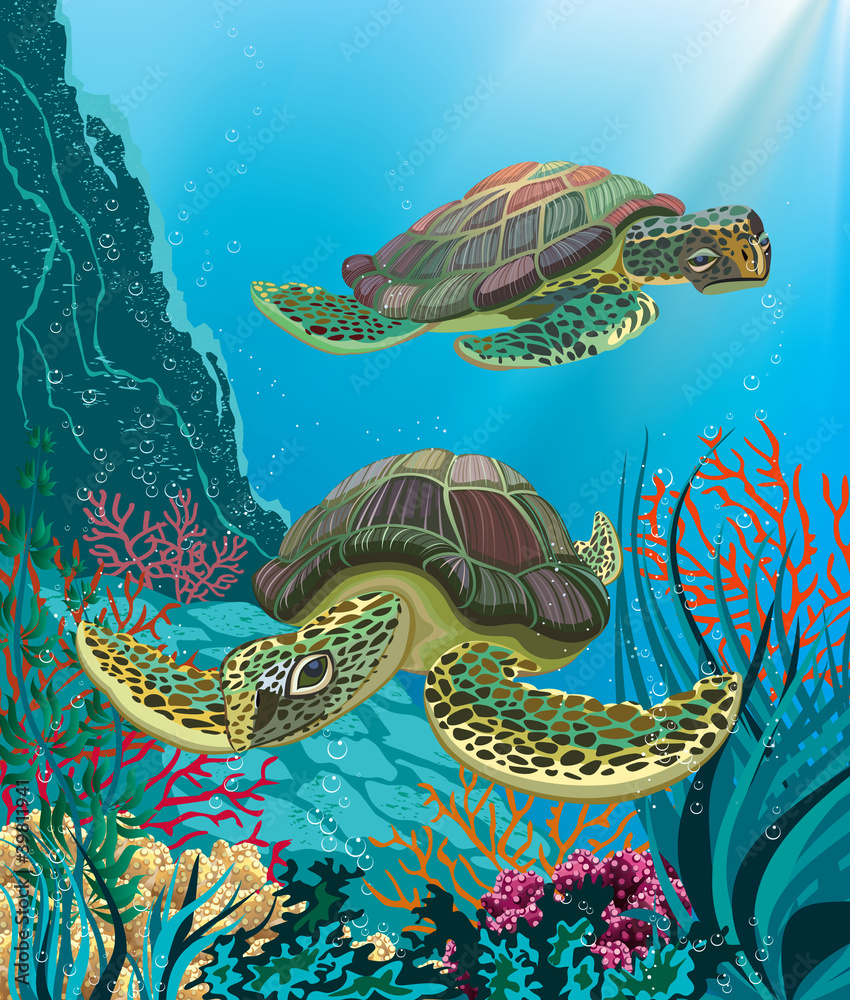 Naklejka premium Illustration of sea turtles swimming underwater
