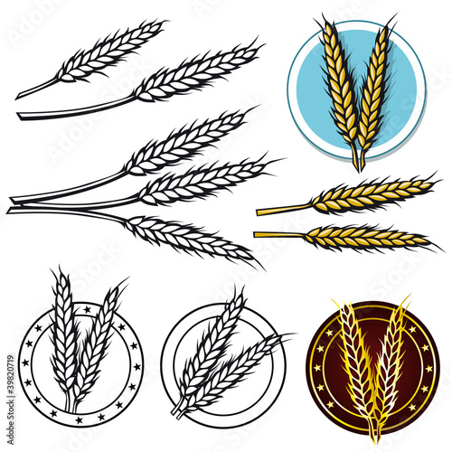 grain icon