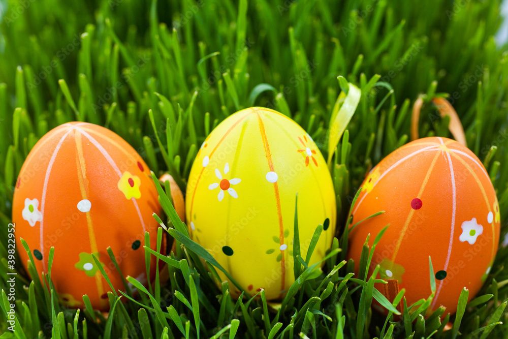 Easter eggs in green grass Easter eggs in green grass