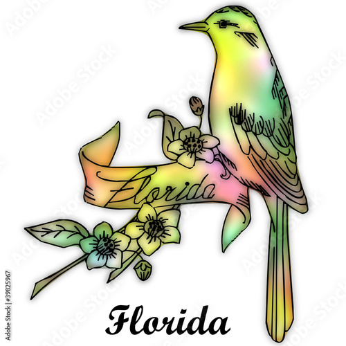 florida state bird