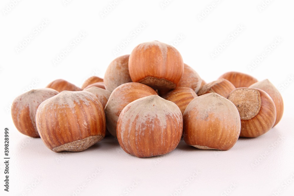 isolated hazelnut isolated hazelnut