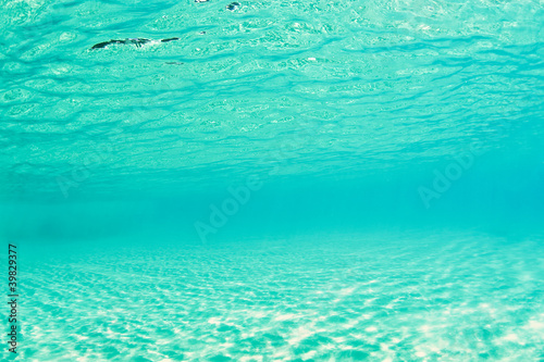 background underwater ocean pool florida Caribbean