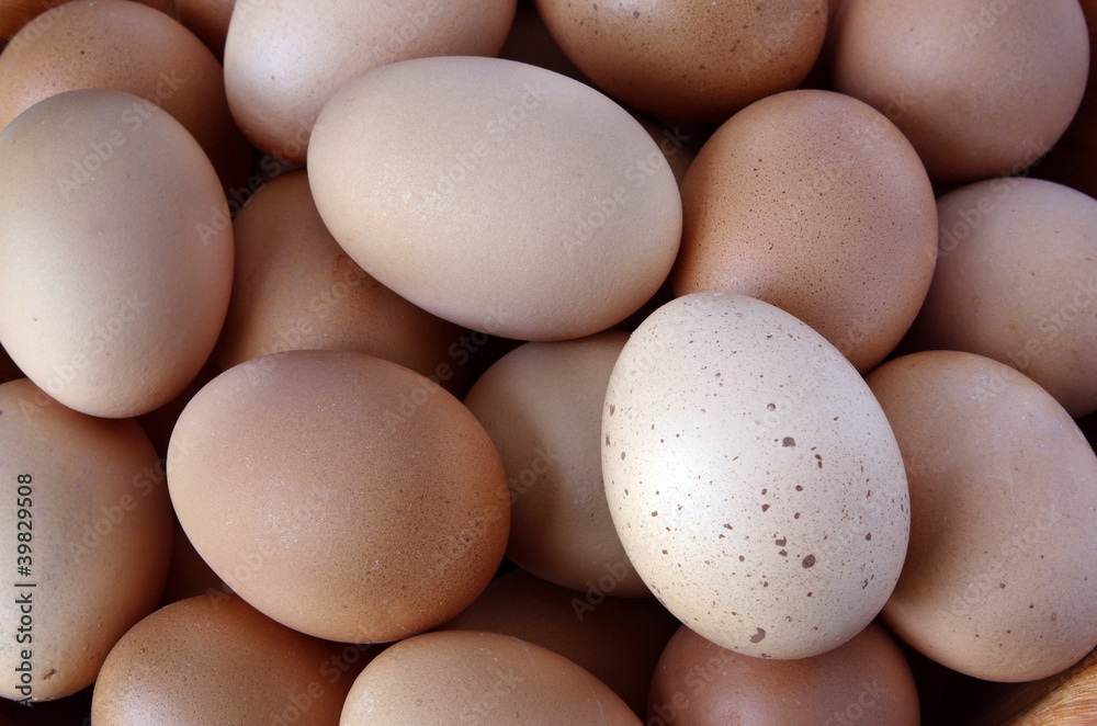 Eggs Eggs