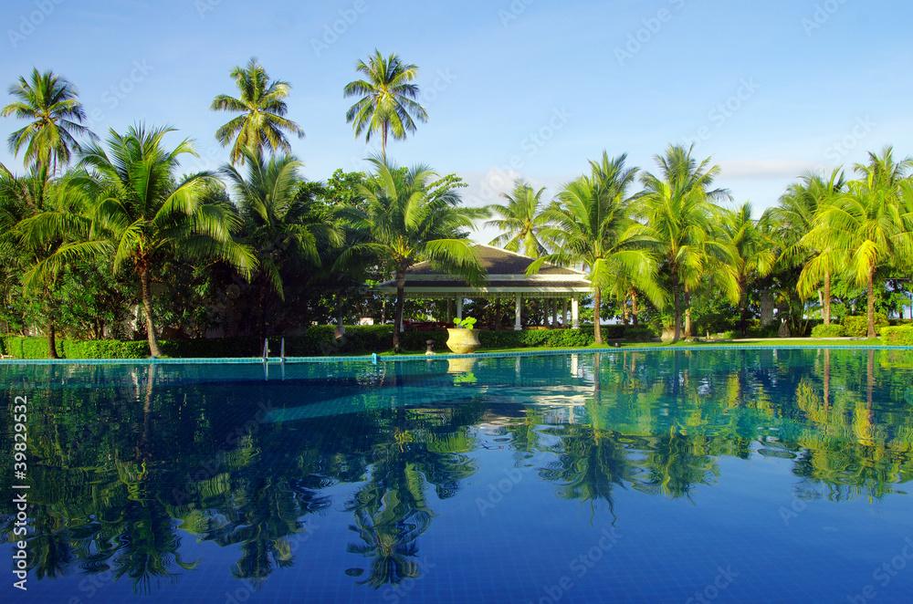 tropical swimming pool