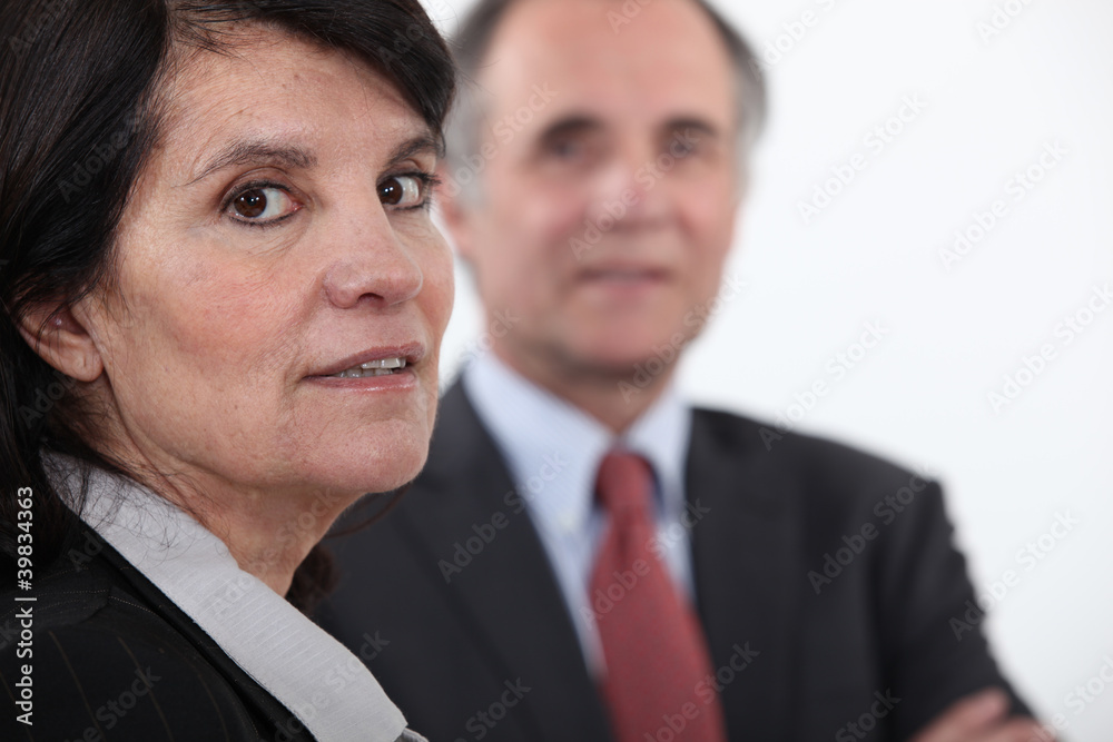 A team of business professionals A team of business professionals