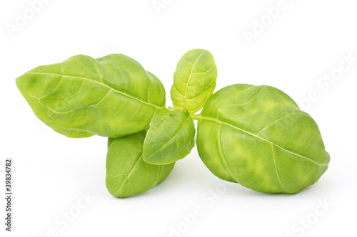 sprig of fresh basil