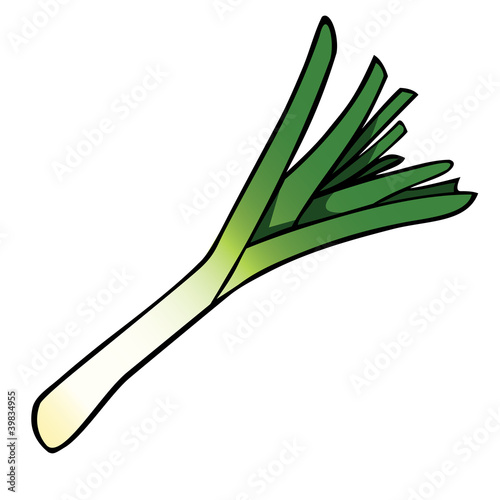 Illustration of a fresh, raw cartoon leek