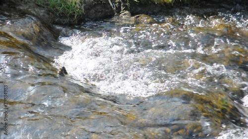 Fluss bei Oberglatt photo