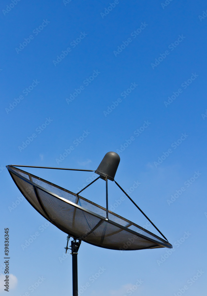 Satellite dish