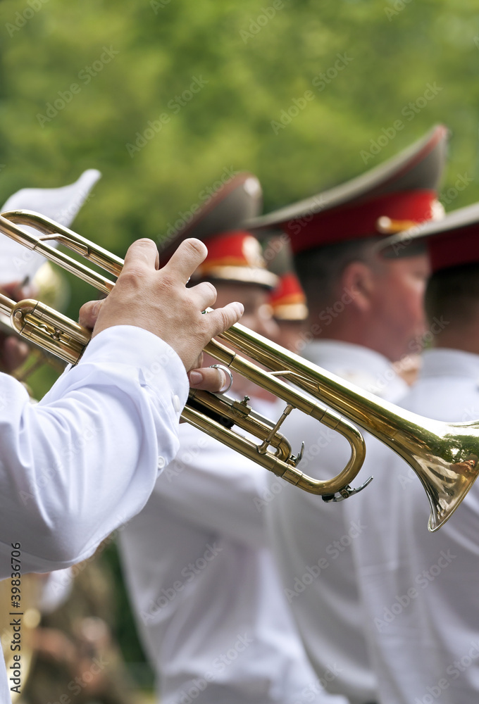 Obraz premium Army brass band