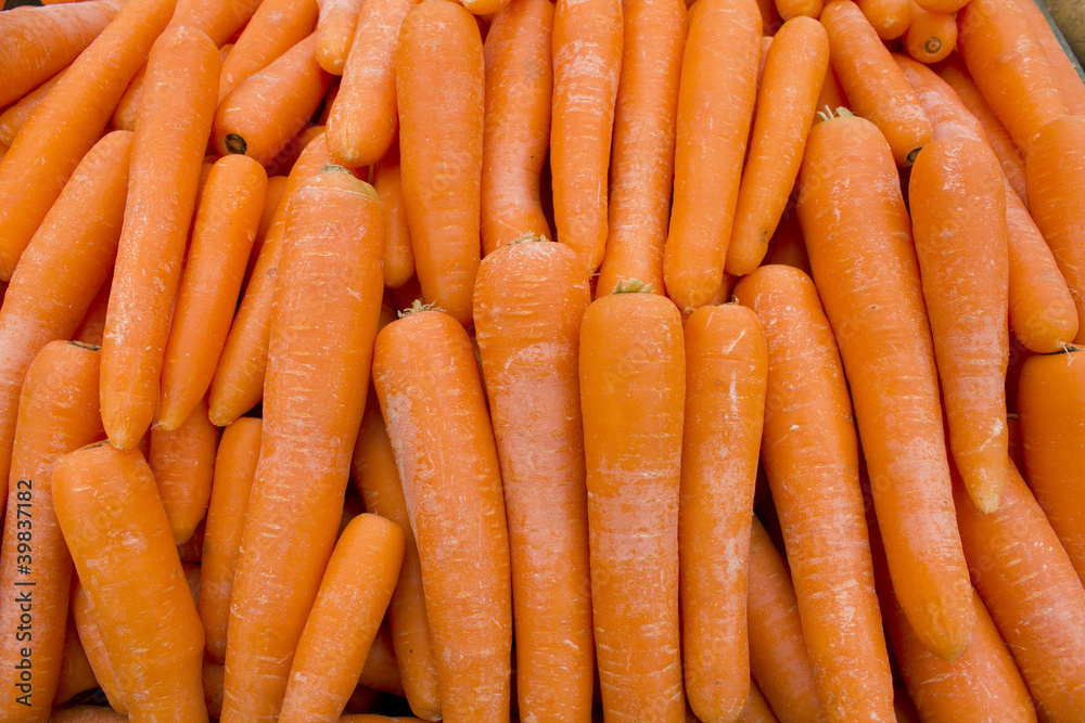 Carottes fraîches Fresh vegetables Carottes fraîches Fresh vegetables