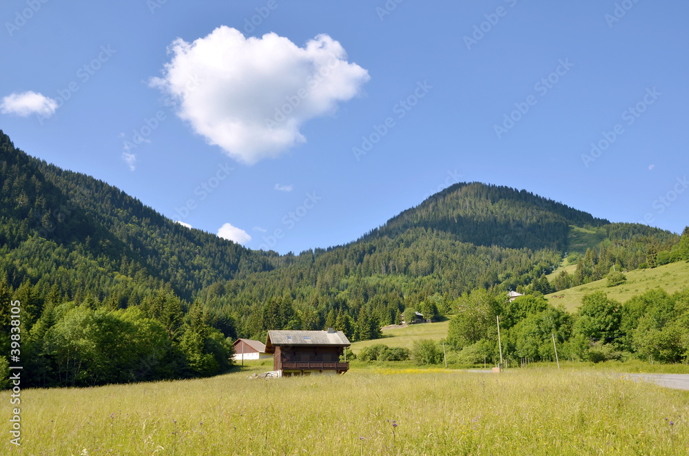 Fototapeta premium Mountains in the French Alps