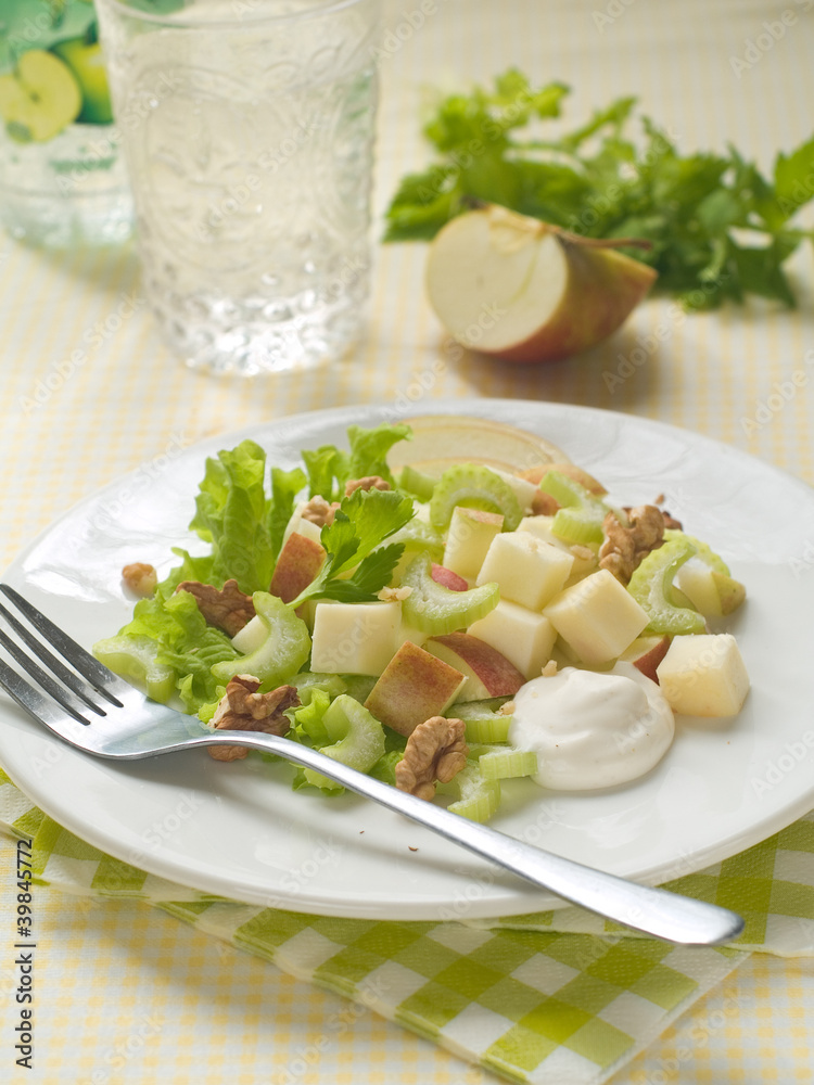 Waldorf salad Waldorf salad