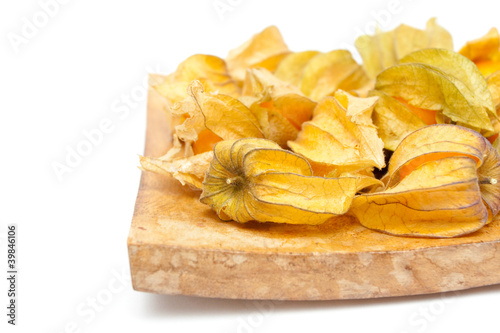 Fotografía Physalis