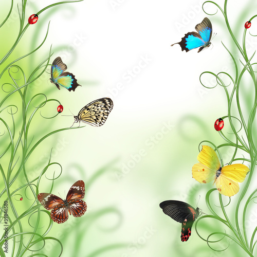 Beautiful floral design