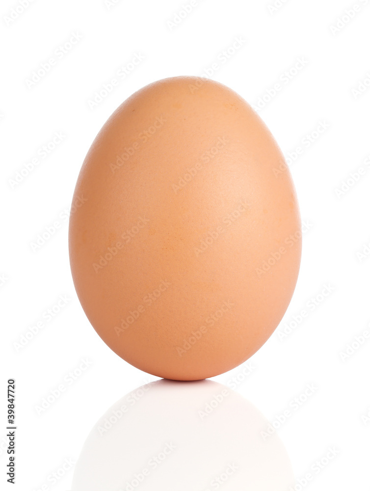 Close up of egg isolated on white background Close up of egg isolated on white background