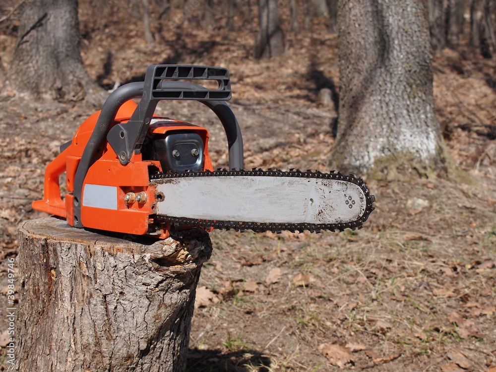 chainsaw in forest