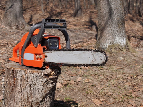 Wallpaper Mural chainsaw in forest Torontodigital.ca