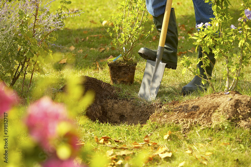 Photos Au jardin