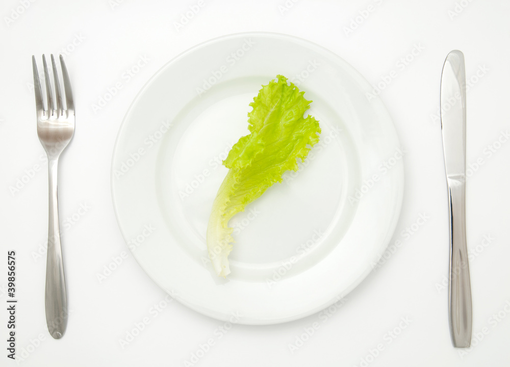 Lettuce Lettuce