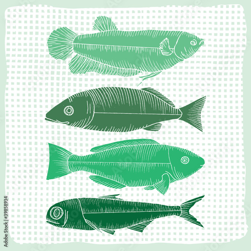 various shapes of fish