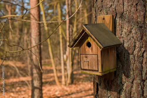 Birdhouse in forest
