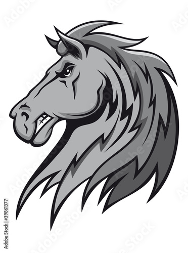 Angry gray stallion