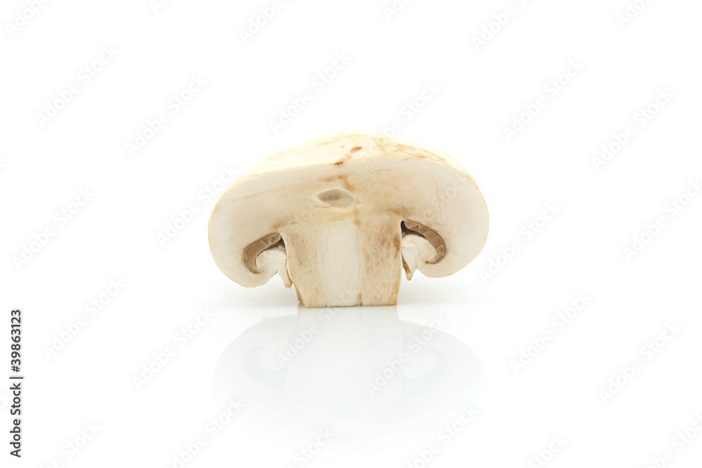 Agaricus bisporus